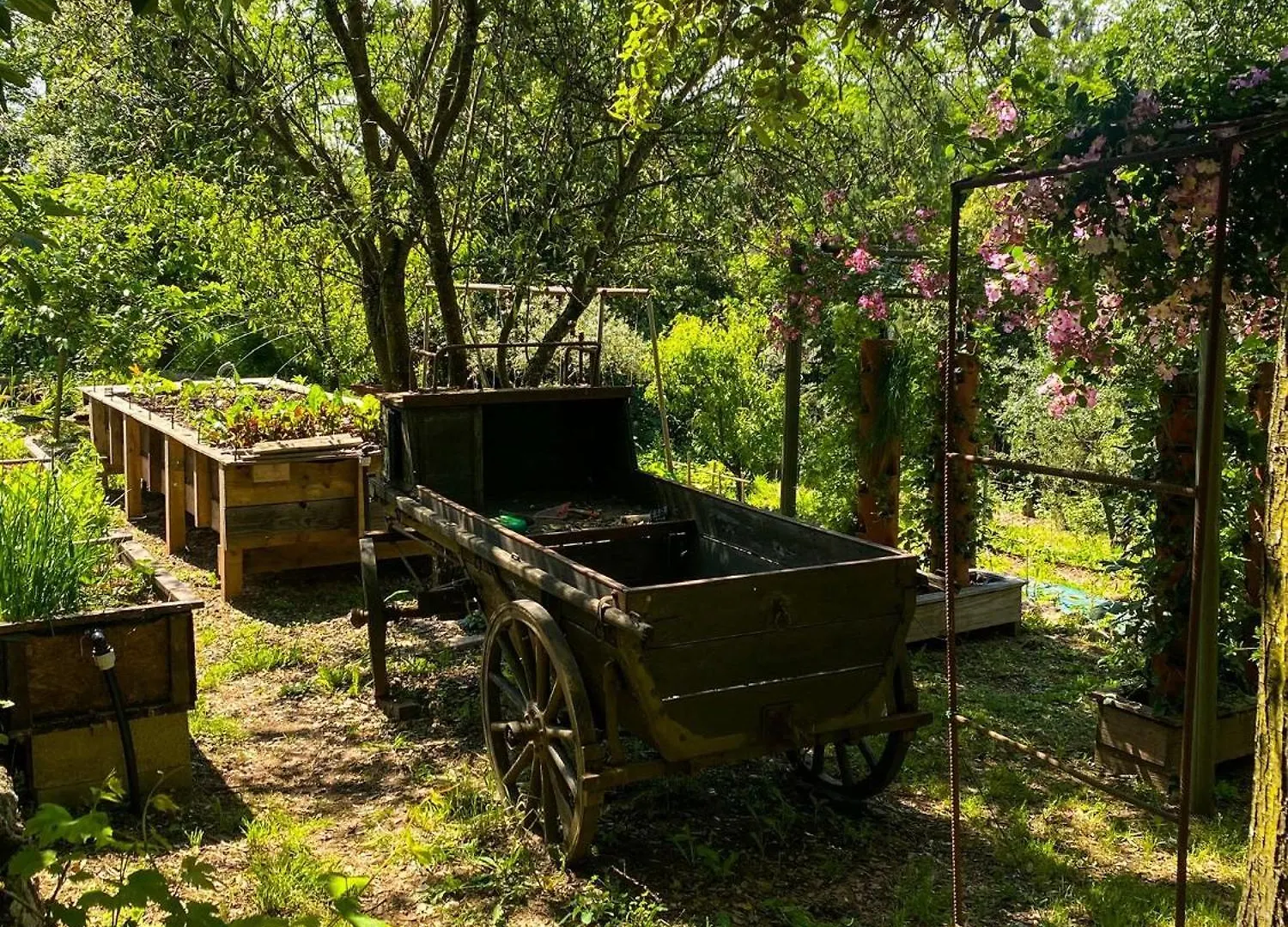 Dortoir Dans La Nature Chambonas Francia